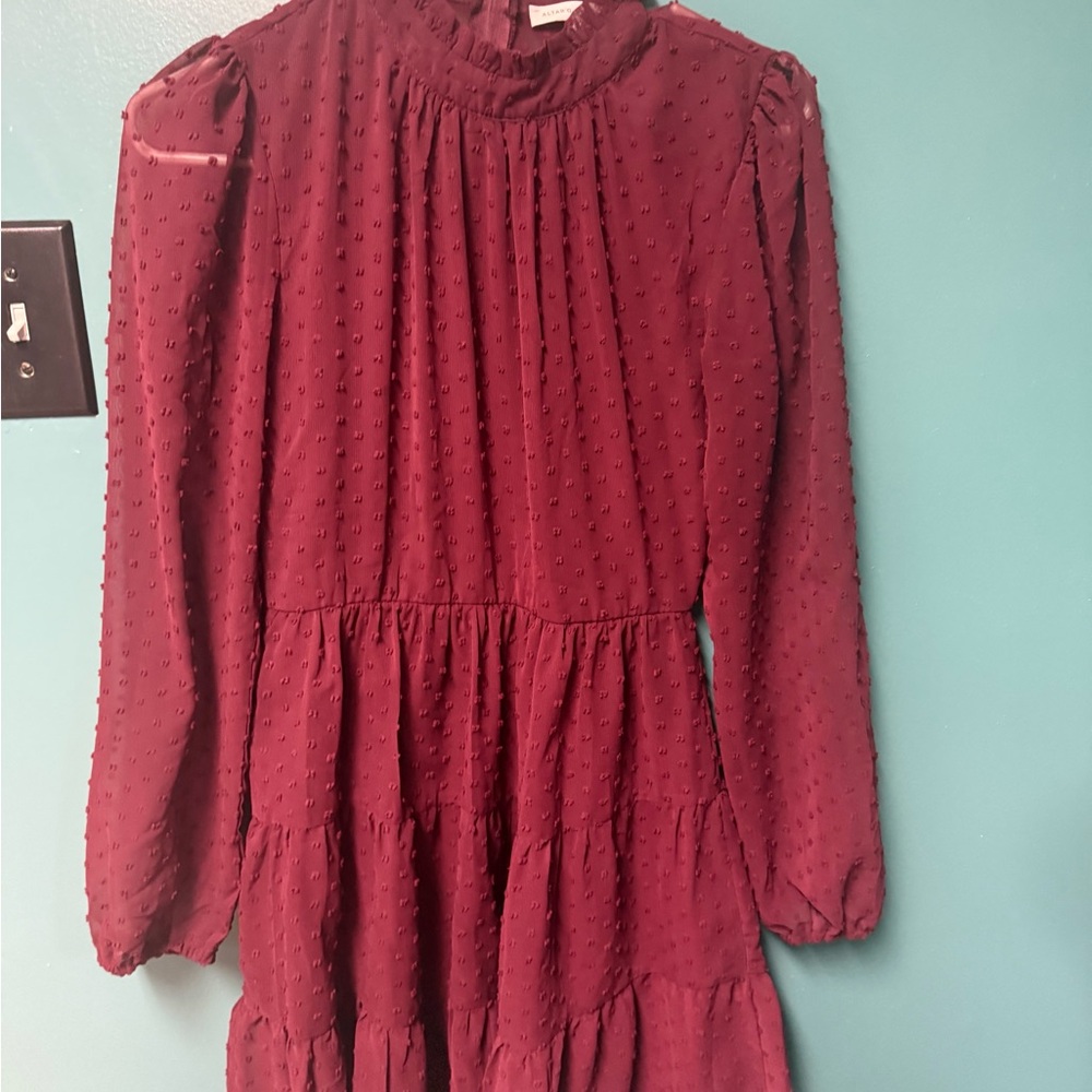 Altar'd State Burgundy Casual Dress